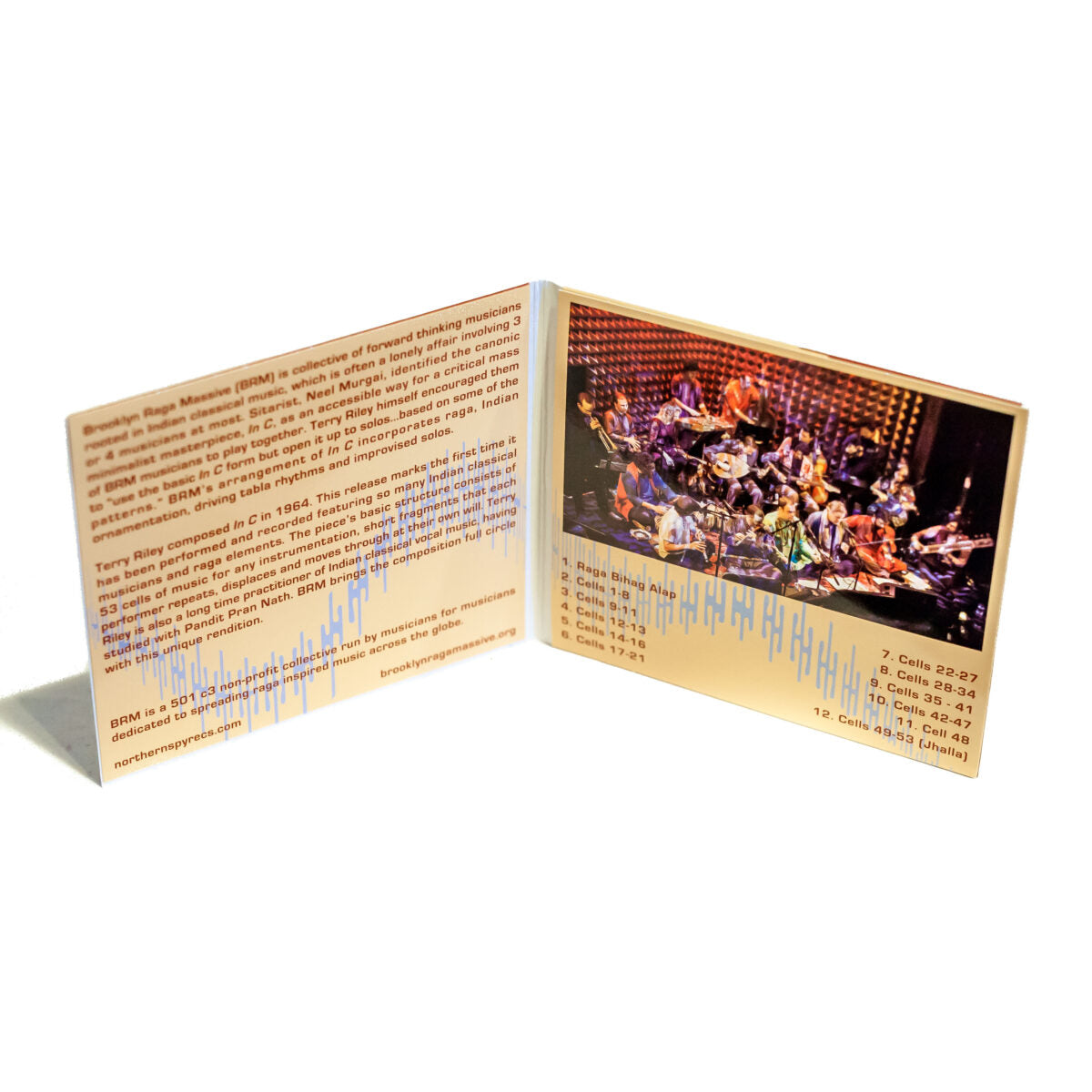 Brooklyn Raga Massive - Terry Riley In C