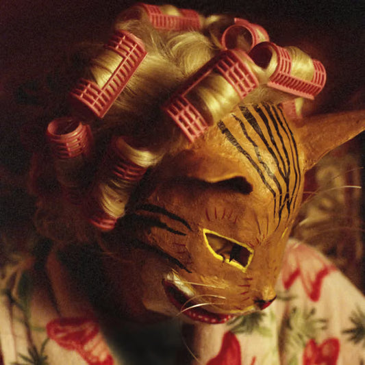 Shilpa Ray - Portrait of a Cat Lady / I'm a Ghost